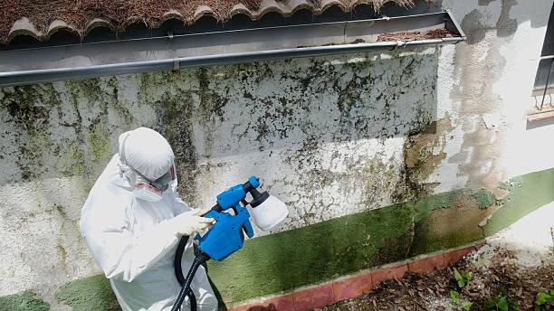 Mold Removal service in Akron
